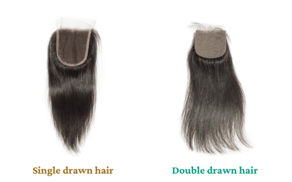 Single Drawn Hair Vs Double Drawn Hair Understanding The Differences