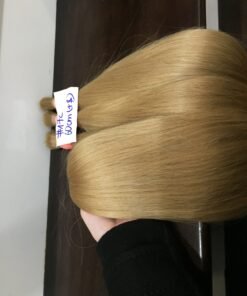 Standard #17C HUMAN HAIR VIETNAM COLOR BULK 6 Standard #17C HUMAN HAIR VIETNAM Standard #17C HUMAN HAIR VIETNAM