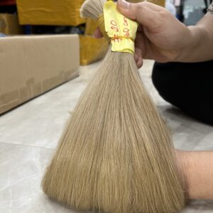 Standard #20C HUMAN HAIR VIETNAM_ COLOR BULK