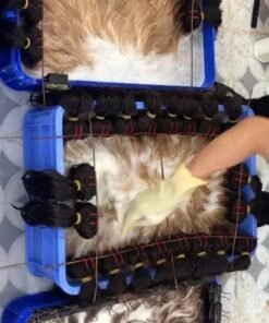 Standard #60 HUMAN HAIR VIETNAM - COLOR BULK 6 Standard #60 HUMAN HAIR VIETNAM Standard #60 HUMAN HAIR VIETNAM