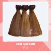 BONE STRAIGHT JEN COLOR 01 - JEN HAIR 1 7 Standard JEN CLASSIC 1/3 Standard JEN CLASSIC 1/3