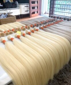 Standard human hair Vietnam - color bulk #60 5 Standard human hair Vietnam_ color bulk #60 Standard human hair Vietnam_ color bulk #60