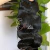 H4 BODY WAVY 8 Standard human hair Vietnam_ color bulk #60 wavy hair
