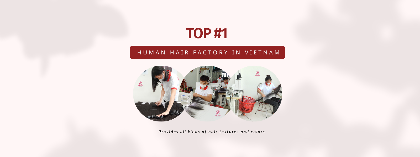 Vietname hair suppliers