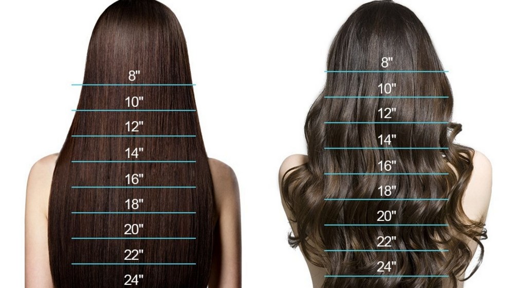 How long is 12 inches of hair?