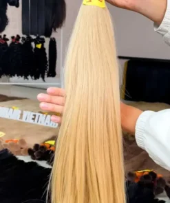 Vietnam Hair Factory, High Quality Vietnamese Human Hair 20 Jen Hair Vietnam Jen Hair Vietnam