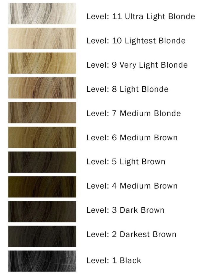 Hair Color Levels