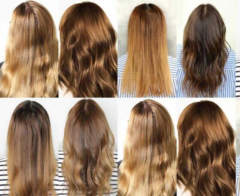 Different types of light brown hair toners (Source: My Hairdresser Australia)