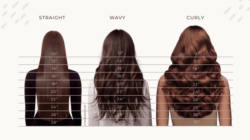 Wig Length Based on Different Hair Textures (Source: Live&Wed)