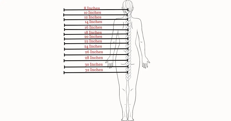 Braiding Hair Length Chart and Guide (Source: Forever Braids)