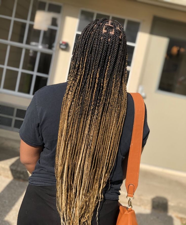 Box Braids With Blonde In The Back (Source: Pinterest)