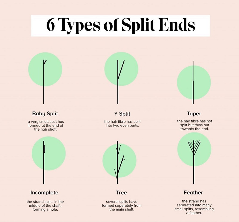 6 types of split ends (Source: allthingshair.com)