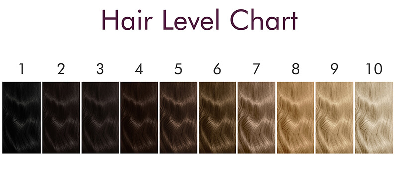 Hair level chart (Source: Satin Hair Color)