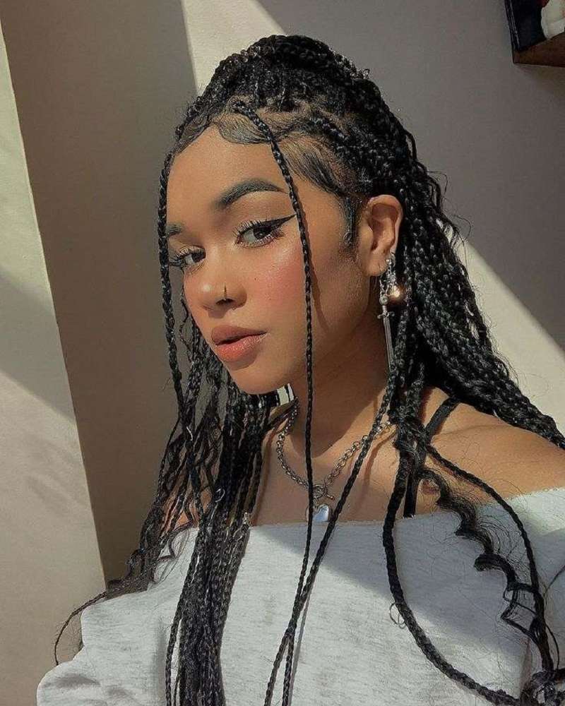 EGirl Hairstyle Braids (Source: Pinterest)