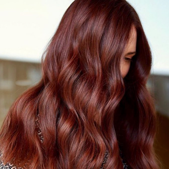 auburn hair