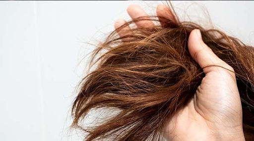 Dry, brittle hair appears when it lacks necessary shine and moistures.