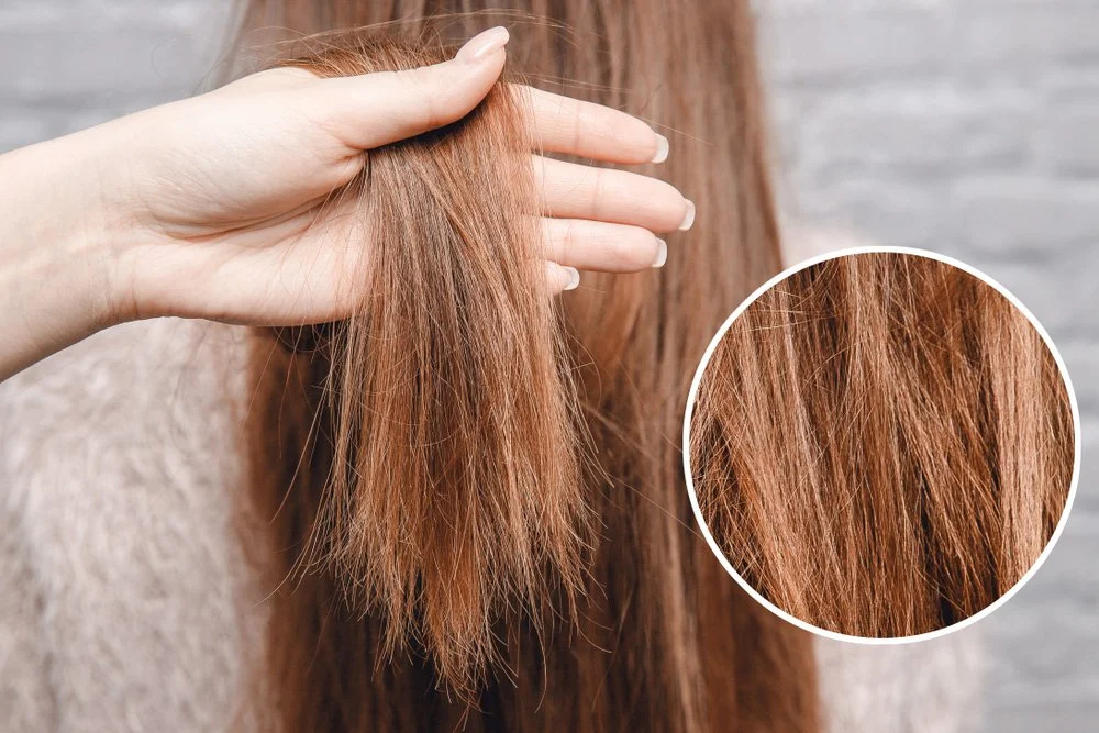 Dry Hair Treatment: Causes and Top 5 Home Remedies 2 Dry Hair ways to fix dry hair