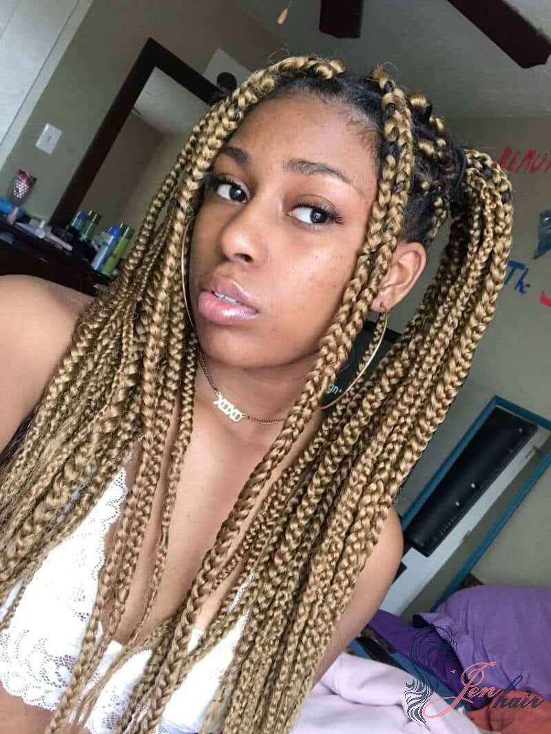 Stunning Styles with Box Braids to Inspire Your Next Look 6 styles with box braids Parted Pony